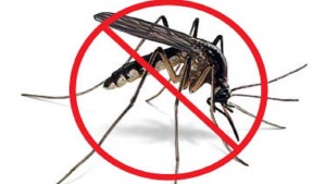 Какие запахи не переносят комары?