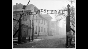 Воспоминания жертв Холокоста (11 фото)