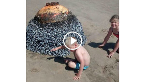 Дети играли на пляже со странной находкой. Узнав, что это было, люди чуть не попадали в обморок!