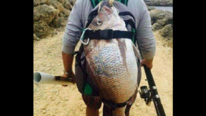 Любителям рыбалки посвящается (53 фото)