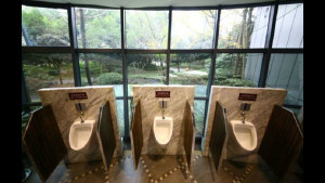Пятизвездочный общественный туалет в Китае (14 фото)