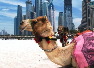 удивительных фактов о Дубае